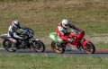 solo-tmc2018-g91_4532