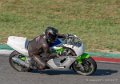 solo-tmc2018-g92_7016