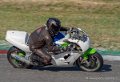 solo-tmc2018-g92_7047