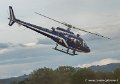 ecureuil-g91_7483