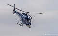 ecureuil-g93_3164