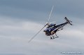 ecureuil-g93_3166