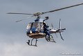 ecureuil-g93_3172