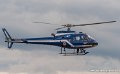 ecureuil-g93_3174