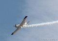 bonanza-g93_2868