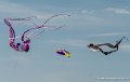 cerf-volants-g91_7238
