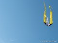 cerf-volants-g91_7247