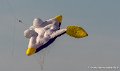cerf-volants-g93_2707
