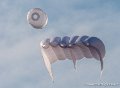 cerf-volants-g93_2708