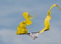 cerf-volants-g93_2710