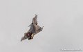rafale-g93_3403