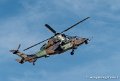 tigre-g91_7326