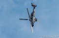 tigre-g91_7342