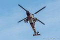 tigre-g91_7343
