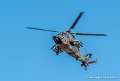 tigre-g91_7344