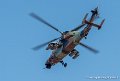 tigre-g91_7347