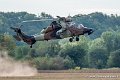 tigre-g93_3483