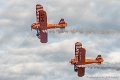 wingwalkers-g91_7407