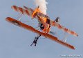 wingwalkers-g93_3146