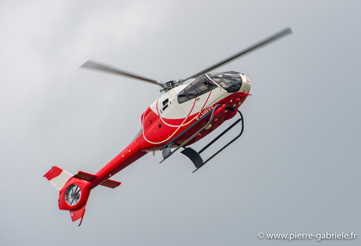 colibri_5555.jpg