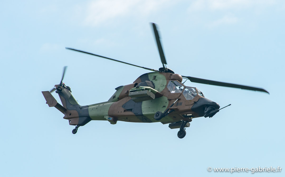 tigre_6010.jpg