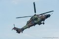 tigre_5998