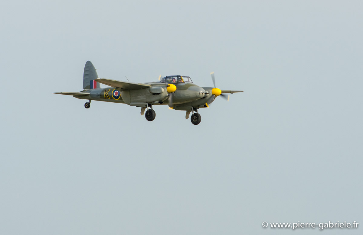 mosquito_5510.jpg