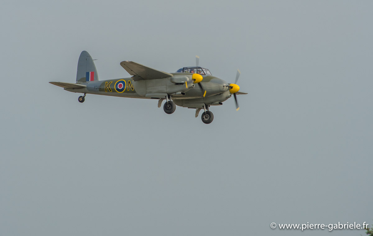 mosquito_5511.jpg
