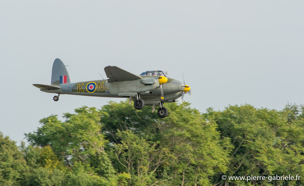 mosquito_5512.jpg