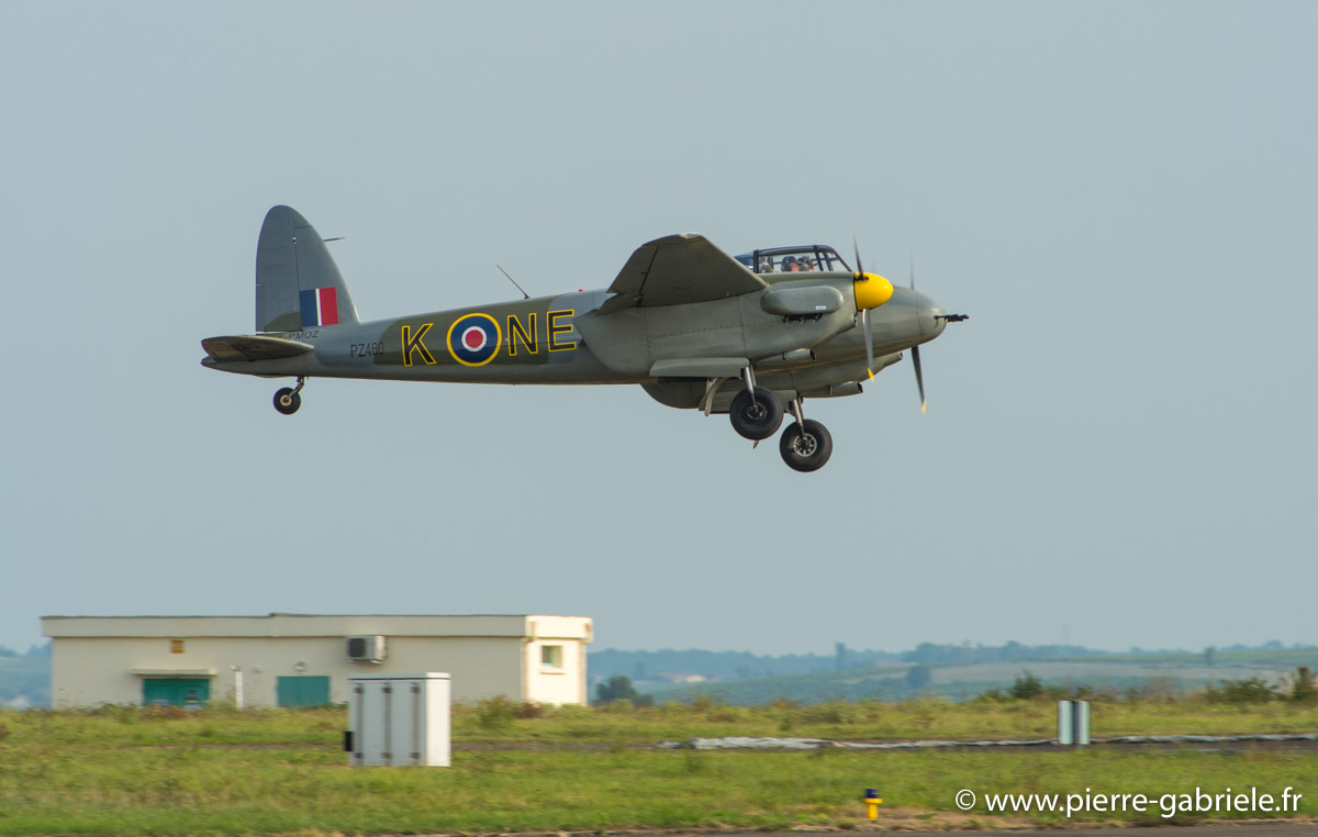 mosquito_5514.jpg