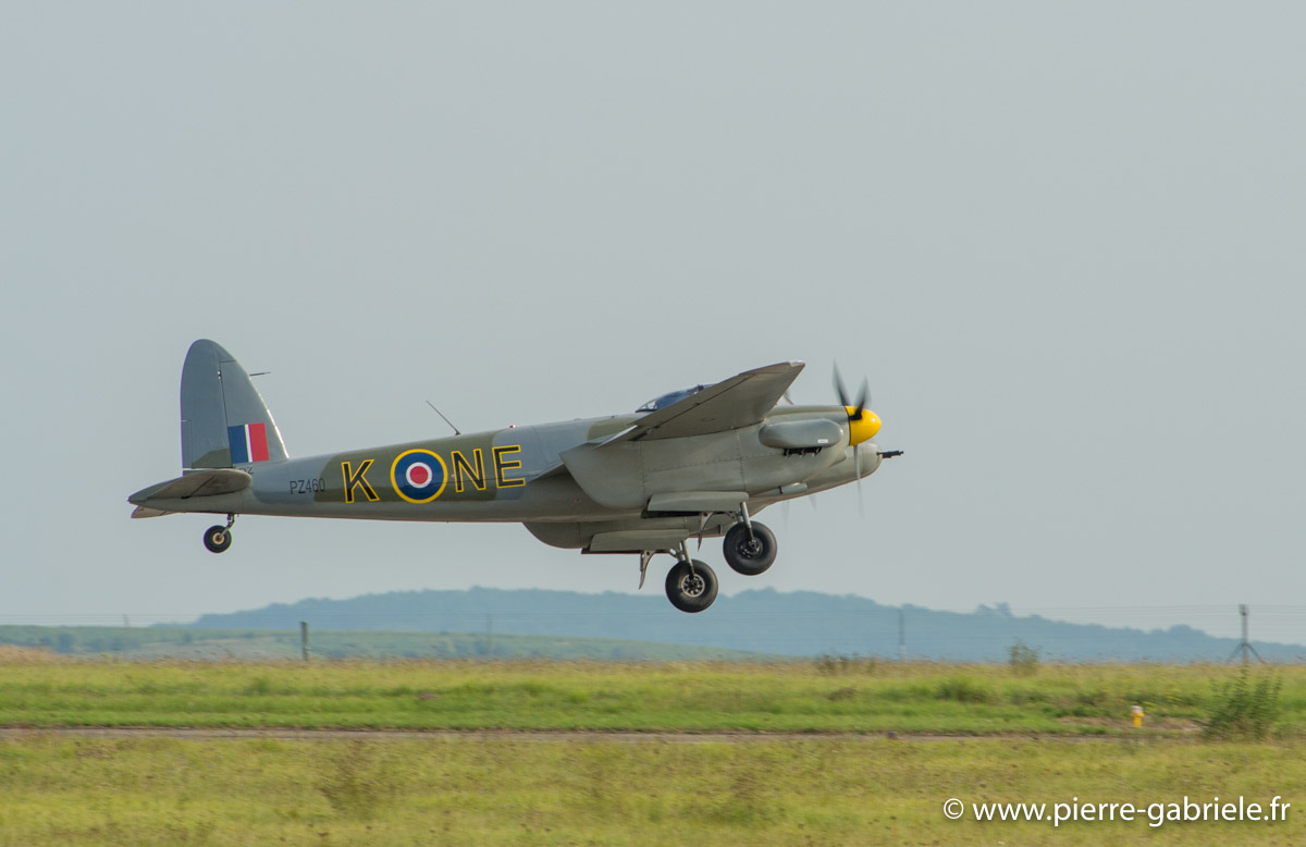 mosquito_5515.jpg