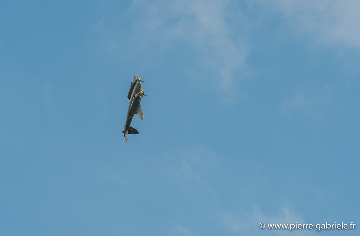 mosquito_6296.jpg