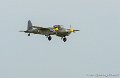 mosquito_5510