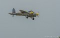 mosquito_5511