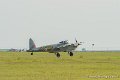 mosquito_5517