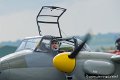 mosquito_6160