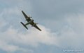 mosquito_6293