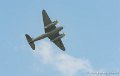 mosquito_6294