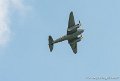 mosquito_6295