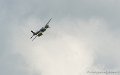 mosquito_6299