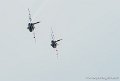 paf_5460