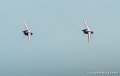 paf_5461
