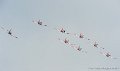 pc7-suisse_5365