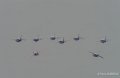 paf-gh6_1624