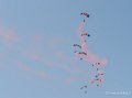 paras-falcons-raf-g9_2399