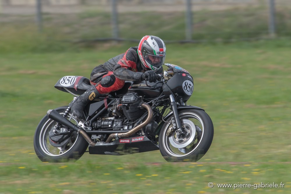 coyotes-dimanche-d500_6774.jpg