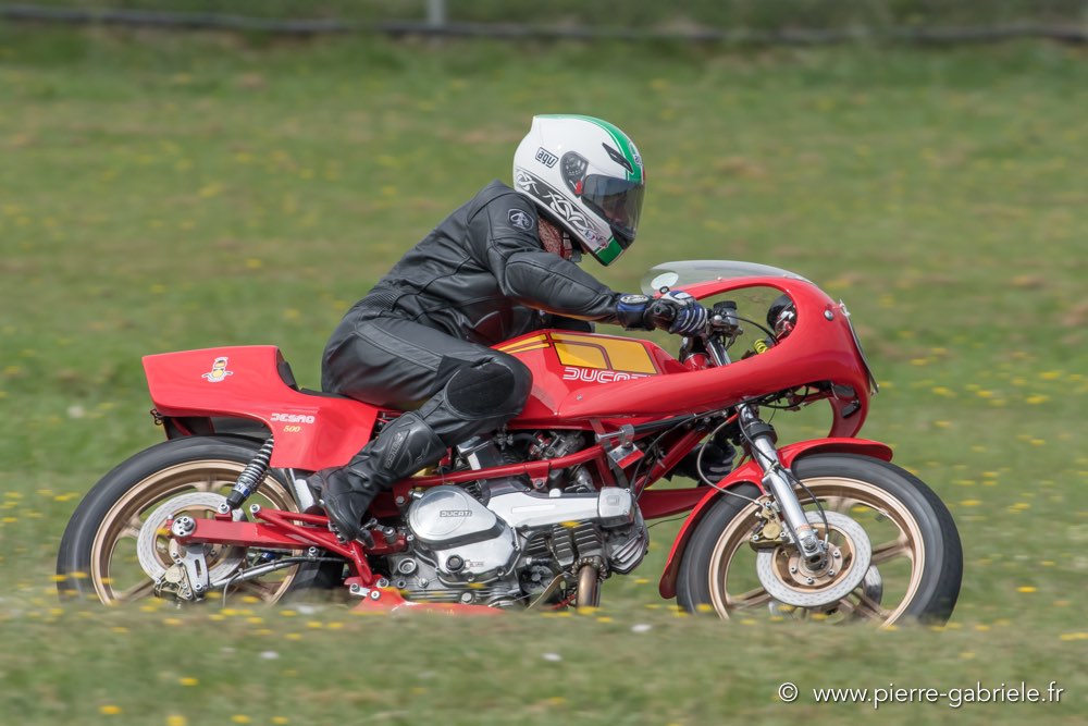 coyotes-dimanche-d500_6970.jpg