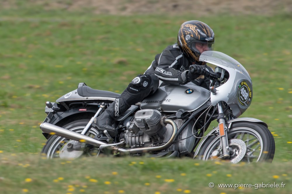 coyotes-dimanche-d500_6976.jpg