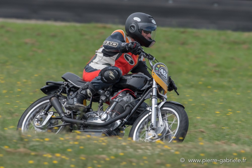 coyotes-dimanche-d500_6980.jpg