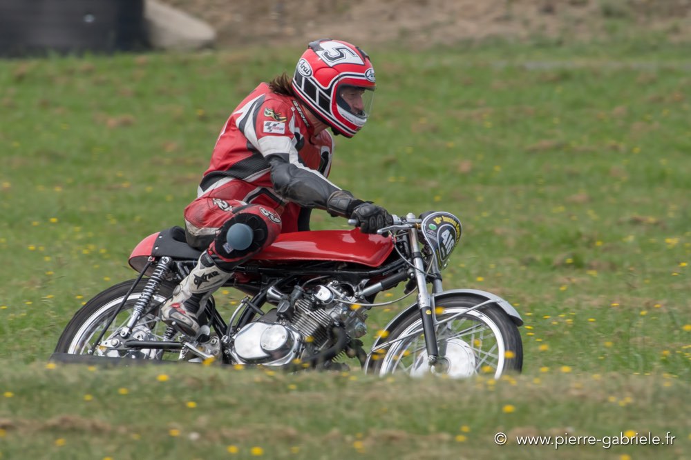 coyotes-dimanche-d500_6986.jpg